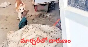 జడ్చర్ల ప్రభుత్వ ఆసుపత్రి మార్చరీలో మృతదేహంపై కుక్క దాడి చేస్తున్న దృశ్యం