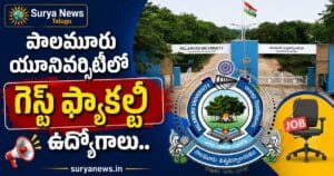 Palamuru University Guest Faculty Recruitment : పాలమూరు యూనివర్సిటీలో గెస్ట్ ఫ్యాకల్టీ ఉద్యోగాలు.. దరఖాస్తు చేసుకోండి ఇలా! Palamuru University Guest Faculty Job Notification 2026