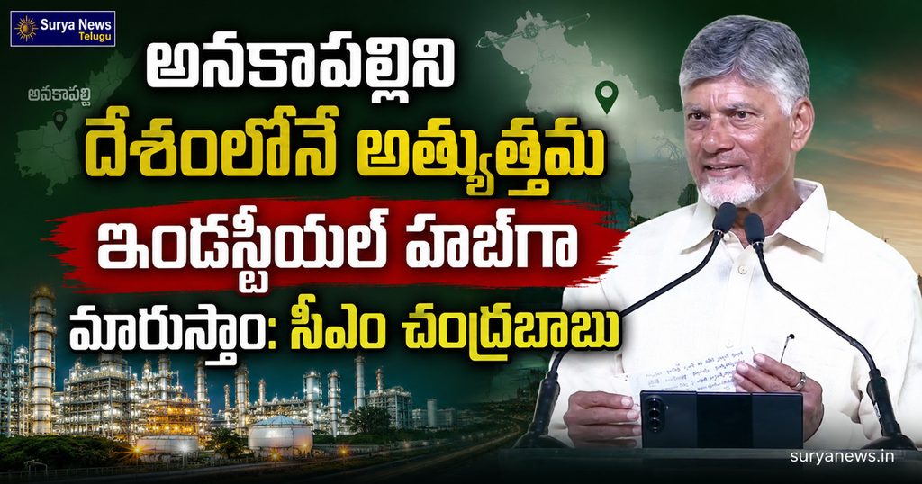 anakapalli-industrial-hub-cm-chandrababu.jpg