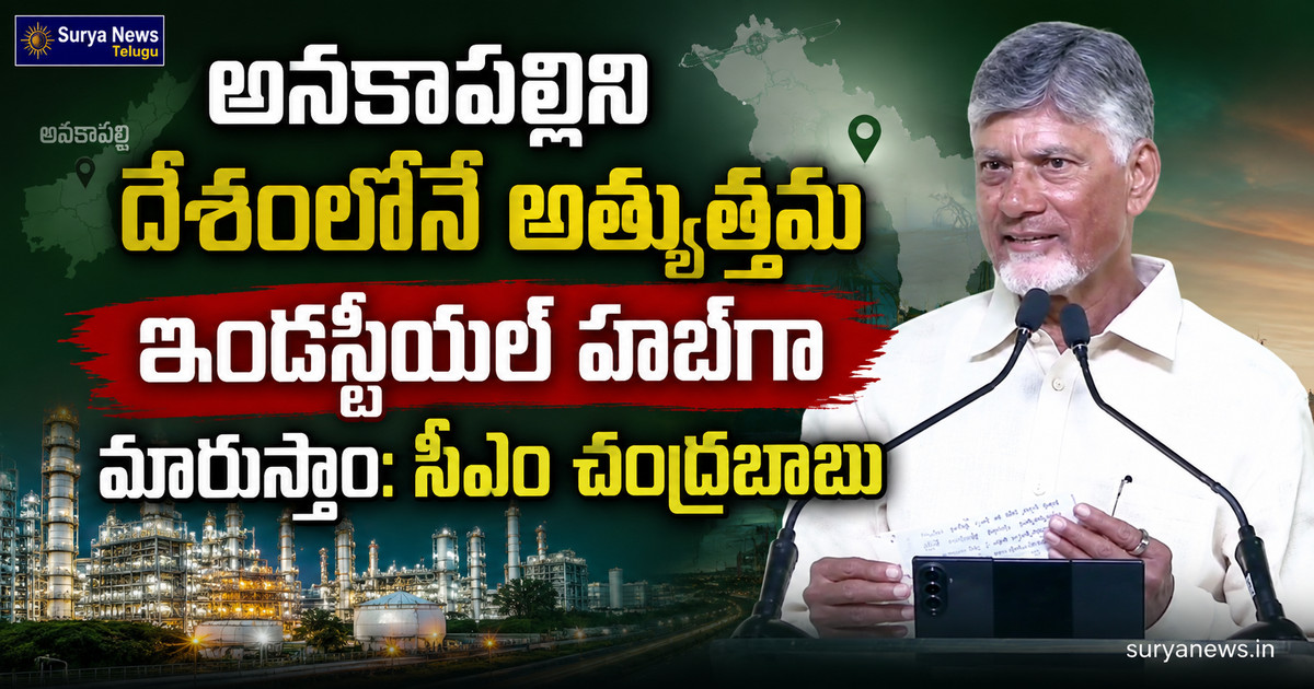 anakapalli industrial hub cm chandrababu