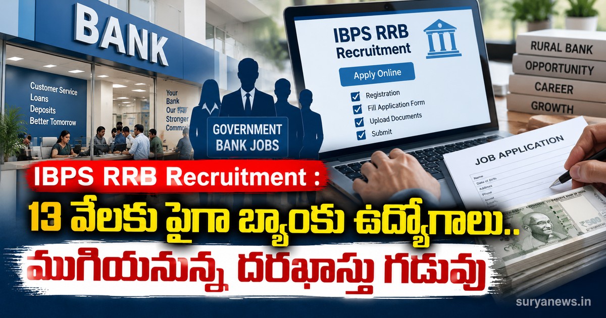 ibps rrb recruitment 13000 bank jobs