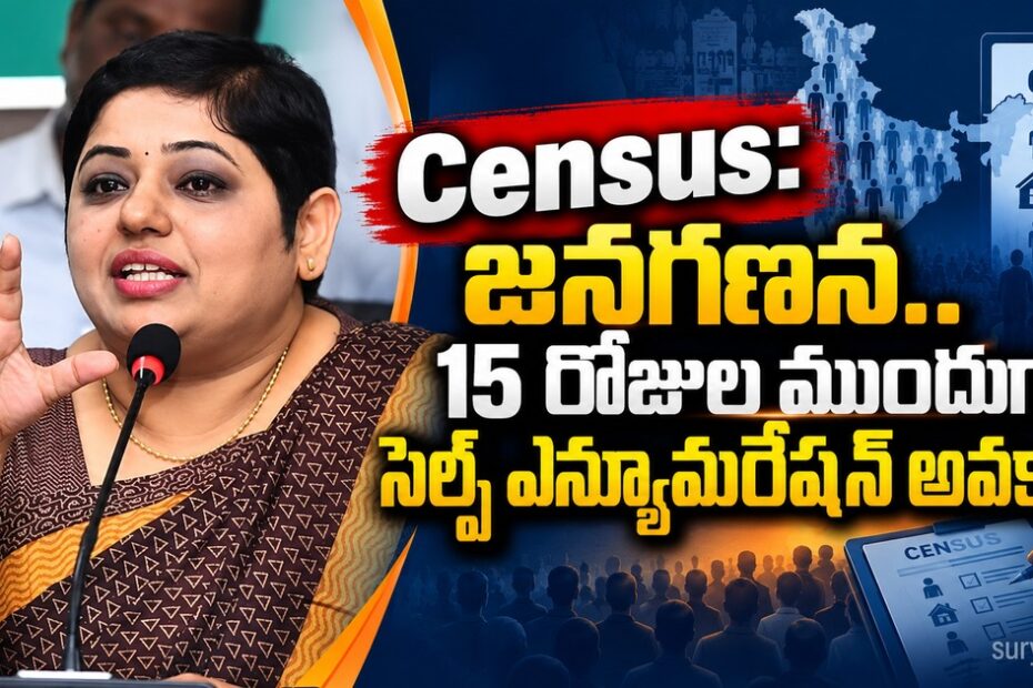 census self enumeration