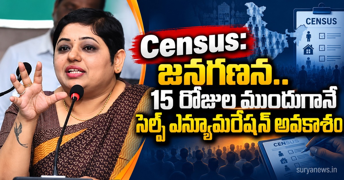 census self enumeration
