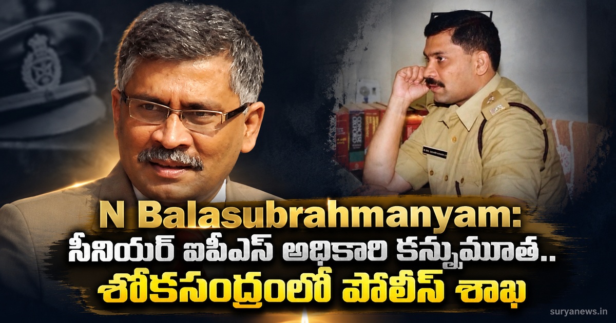 n balasubrahmanyam ips