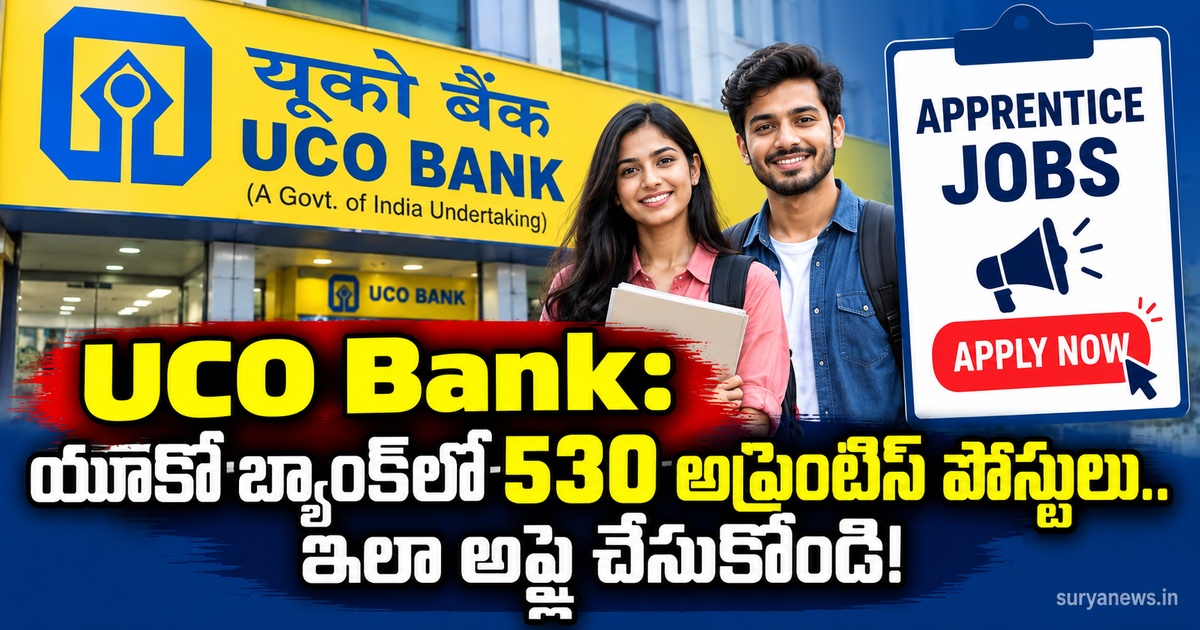 uco bank apprentice jobs